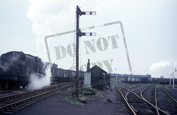 8F 1966c where-ROS-1901-260