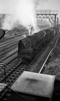 71000 1960c where-ROneg-1906-300