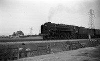 71000 1961c where?-ROneg-1906-326