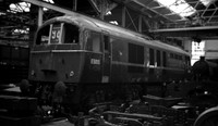 E5015 1960c Eastleigh-ROneg-1612-785-193