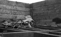 Wagon 1966-04-26 Hull Sculcoates Yard-ROneg-1903-060
