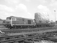 D7017 D1035 1991-07-06 Horton Road-ROneg-1285021
