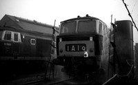 D7020 1965-10-23 Bristol-ROneg-1803-450
