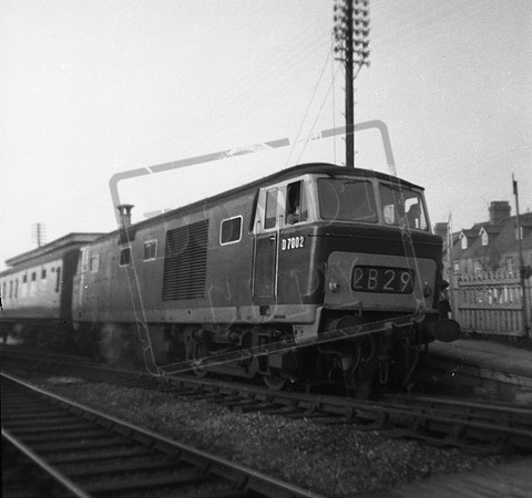 D7002 1965 Stonehouse no roof horns-ROneg-1308-946