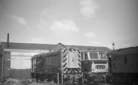 D7033 196x Swindon Works-ROneg- (35)