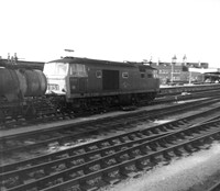D7016 1970s-ROneg-1308-947