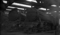 61905-ROneg3144