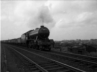 Newton Rings 61875 1954 Moat Hills near Doncaster-ROneg-024