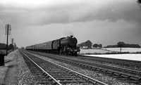 Newton Rings 61976 1961-08-06 Brocklesby-ROneg167-4