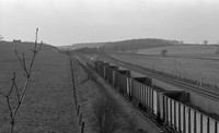 37252 37171 1976-02-26 Melton Ross-ROneg-232