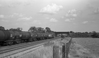 37019 1975-09-11 Melton Ross-ROneg-153
