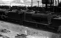 43914 1963 Royston shed-ROneg-1612-473-353