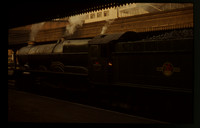 6002-ROS089d4