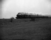 60xx 1960s-ROneg-162