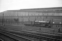 6006 1953c Paddington-ROneg-PK-228
