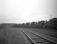 4508 5193 4561 5521 1964-03-24 Barry-ROneg-901