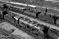 231D577 1961-09-21 Caen