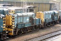 13001 1984-02-26 Tinsley shed