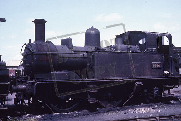 1447 1964-05-09 Swindon-ROS-CG1199-085
