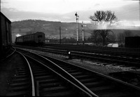 1445 1958 Monmouth Troy-ROneg-1610-140