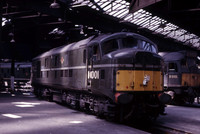 10001 1966-05-01 Willesden-ROS-1503-618