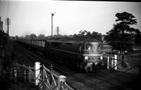 10201 1955 Elmshurst Crossing on Down express-ROneg-1712-194