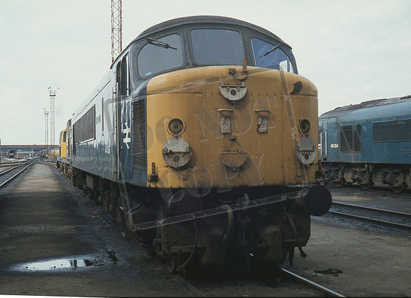 44008 1979-05-19 Toton