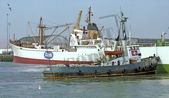 BR Tug Meeching 1974 Newhaven Harbour