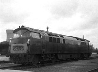D1051 1960s Newton Abbot-ROneg396