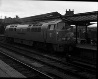 Newton Rings D1000 1962-06-14 Chester-ROneg-207