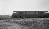D1006 1960s-ROneg-055