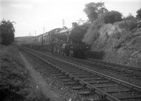 4976 1950s-ROneg-569