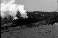 4904 1950s Dainton on Down train with 7921-ROneg-1506-138