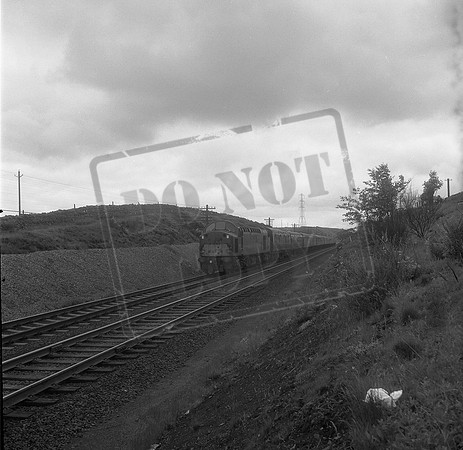 D232 check 1964c Shap-ROneg-090