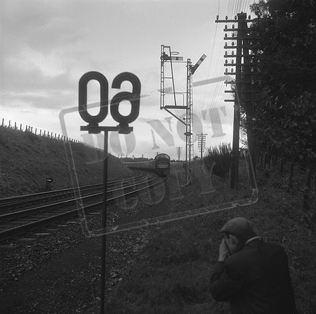 Class 40 1964c Kinnaber Junction-ROneg-067