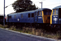 84002 1979 Allerton