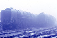 92xxx 1967-12-ROS-1410-979