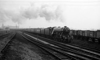 4472 1966-10-08 Bamber Bridge-ROneg-1612-488-252