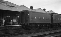 4472-ROneg3647