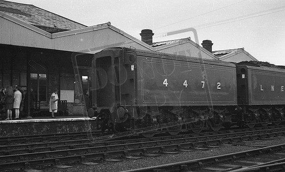 4472-ROneg3647