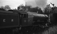 4472 1967-10-21 Grimsby-ROneg3641