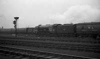 60039 1962-08-23 York-ROneg323-2
