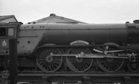 4472-ROneg3645