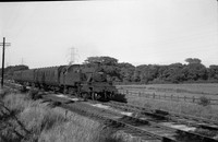 40110 1950s-ROneg-305