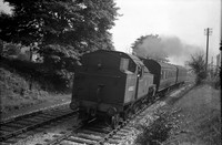 40082 1951c-ROneg-JA6-1902