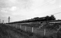 D6505 1966-07-02 Worting Junction-ROneg-1704-185
