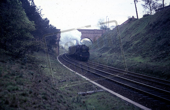 34xxx 1966c where- Grove Park ?  -ROS-1901-179