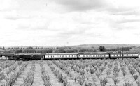 330xx 1961-06-10 Paddock Wood-ROSneg-1901-016