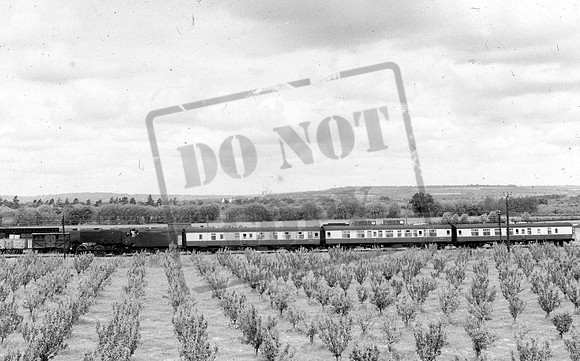 330xx 1961-06-10 Paddock Wood-ROSneg-1901-016