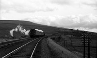 72007 1960s Dandrymire Viaduct